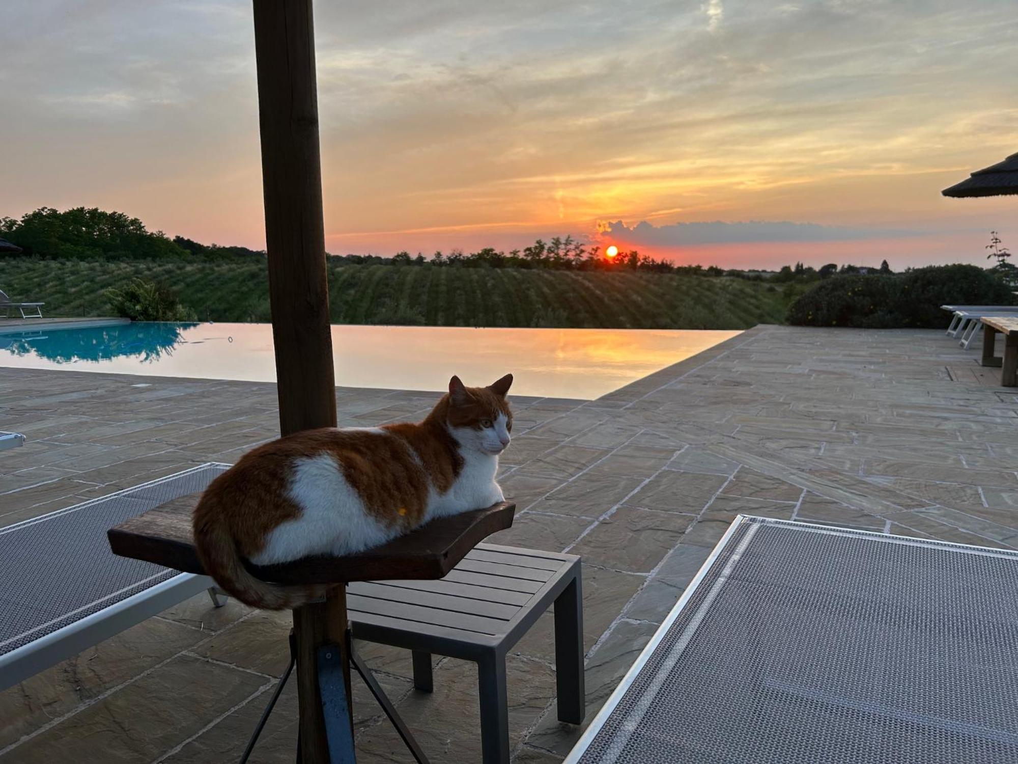 Agriturismo La Rinaldina Faenza Luaran gambar