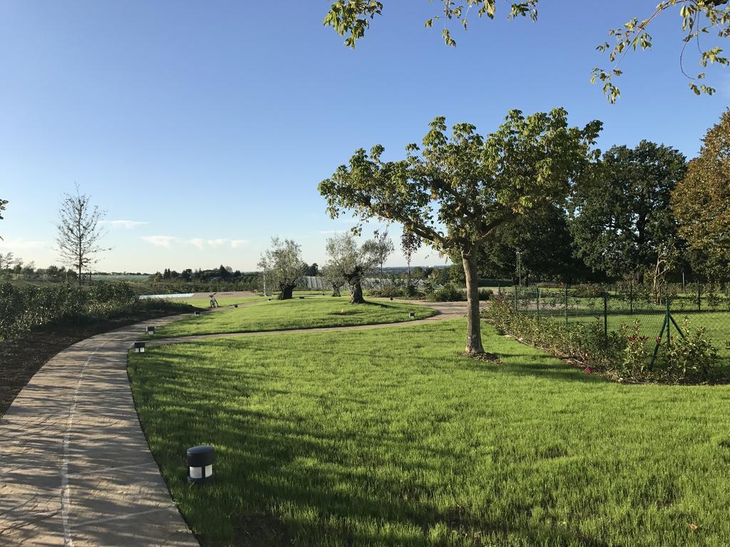 Agriturismo La Rinaldina Faenza Luaran gambar
