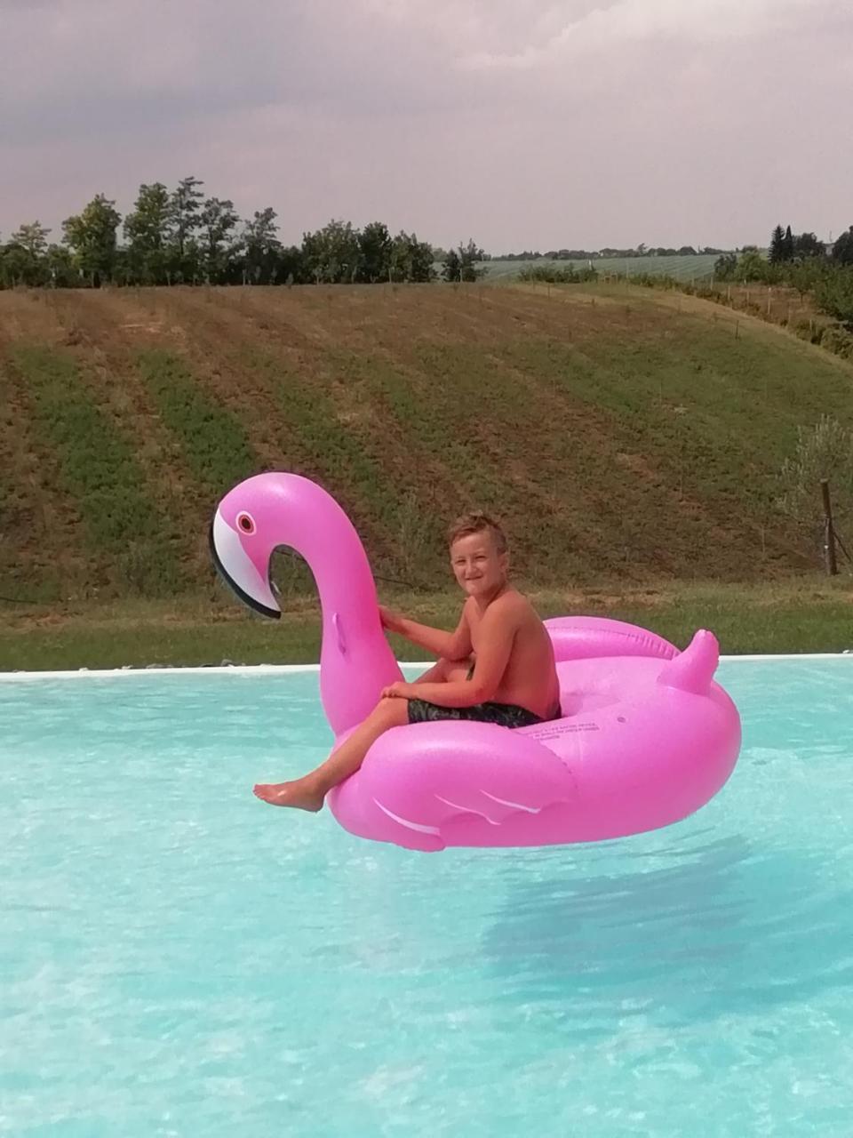 Agriturismo La Rinaldina Faenza Luaran gambar